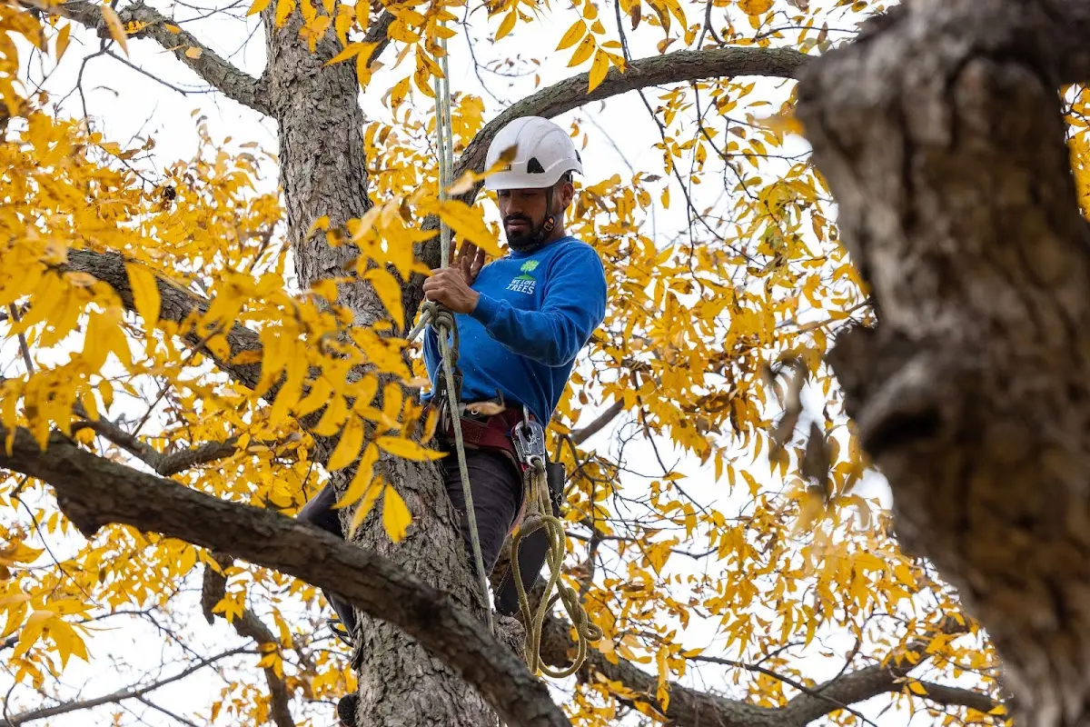 Skilled Storm Damage Cleanup crew working in Menasha