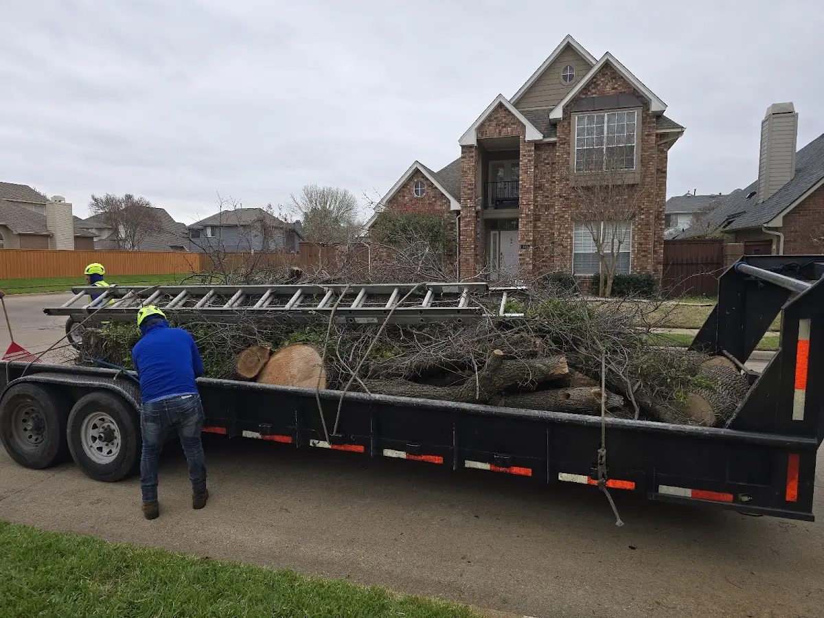 Expert Deadwooding with proper safety equipment in Menasha